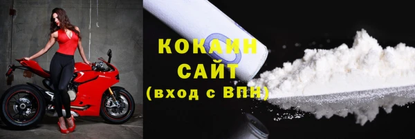 дмт Ельня