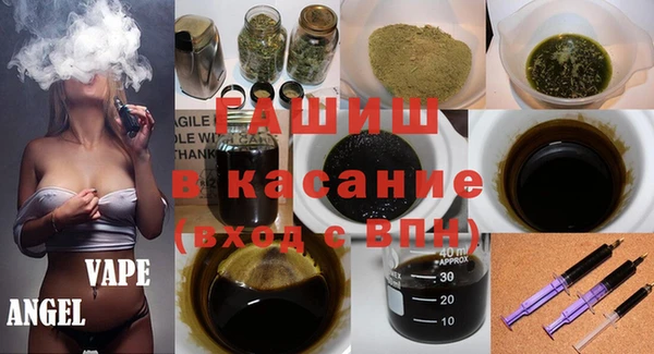 гашик Гусев