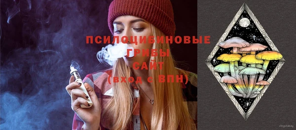 СК Гусь-Хрустальный
