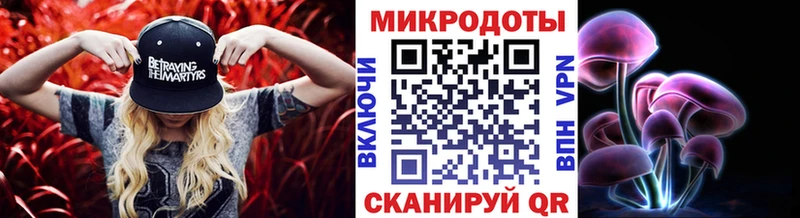 наркошоп  Джанкой  Псилоцибиновые грибы Psilocybe 