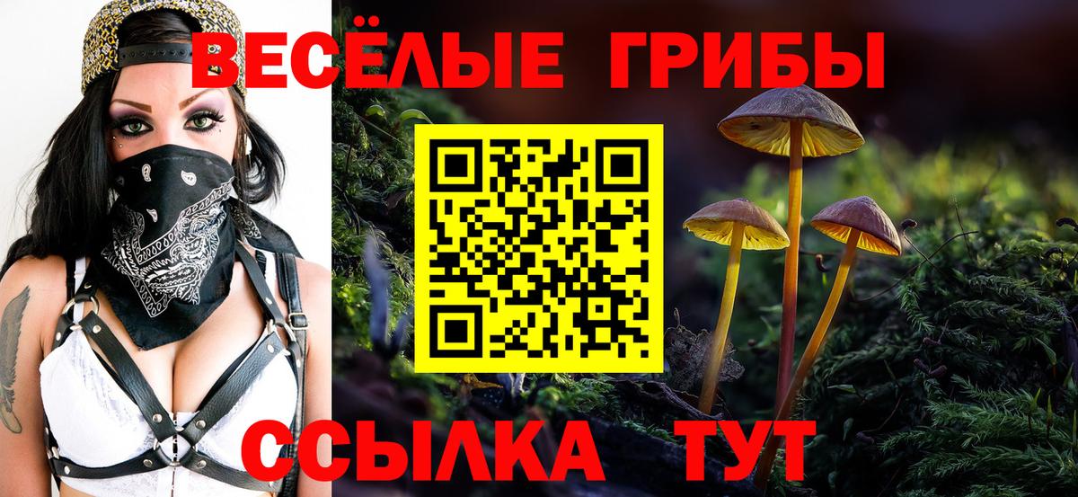 Псилоцибиновые грибы Cubensis  Вход с VPN  Джанкой  Псилоцибиновые грибы GOLDEN TEACHER 