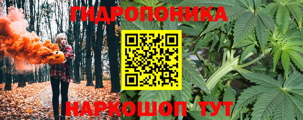 Каннабис конопля  Каннабис THC 21%  Джанкой  Вход с VPN  Канабис ГИДРОПОН  Бошки Шишки AK-47 